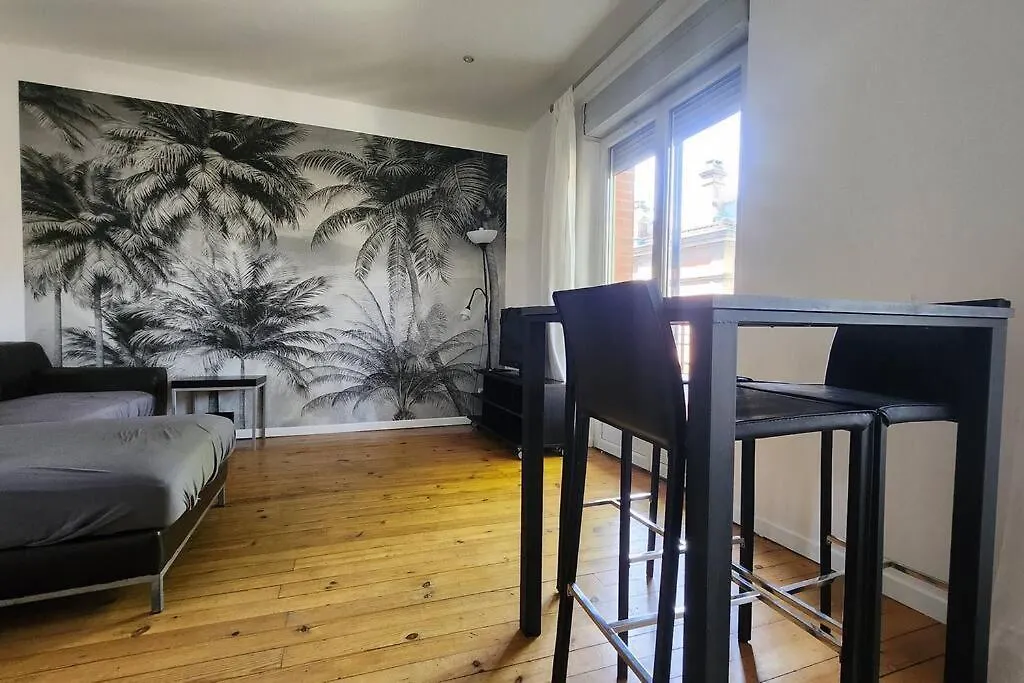 Petit Confort - T3 Proche Commodites - Parking - Hypercentre Apartment Toulouse